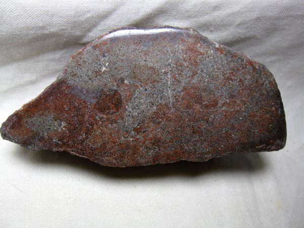 Polished Jurassic Dinosaur Bone #47 - Image 2