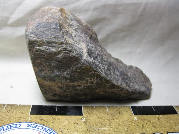 Polished Jurassic Dinosaur Bone #50