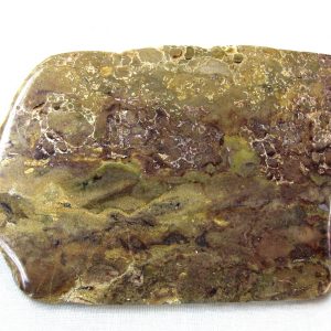 Genuine Ordovician Age Oncoidal Stromatolite From Wisconsin For Sale #2