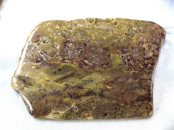 Genuine Ordovician Age Oncoidal Stromatolite From Wisconsin For Sale #2