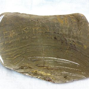 Genuine Ordovician Age Stromatolite From Wisconsin For Sale #1-1