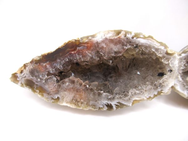 Genuine Jurassic Age Cut and Polizhed Geode For Sale from India #4b