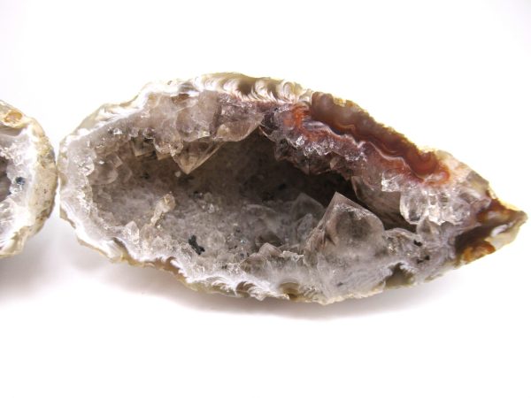 Genuine Jurassic Age Cut and Polizhed Geode For Sale from India #4c