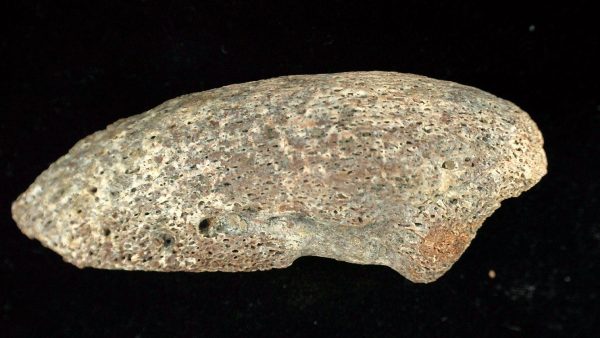 Genuine Cretaceous Sauropod Dinosaur Claw from Morocco For Sale #7a