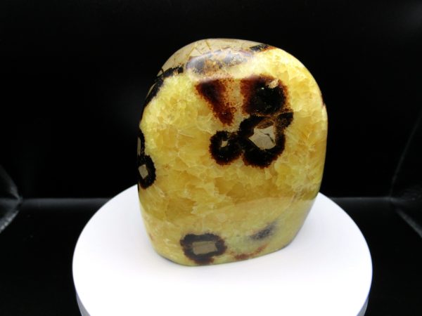 Genuine Septarian Metaphysical Free Form Polished Mineral from Madagascar for Sale. #1