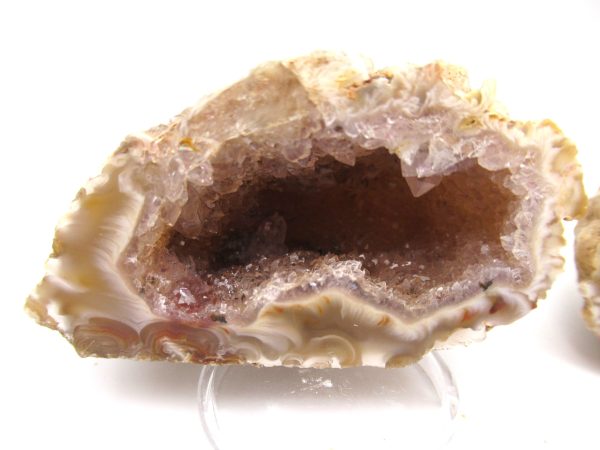 Genuine Jurassic Age Cut and Polizhed Geode For Sale from India #10b