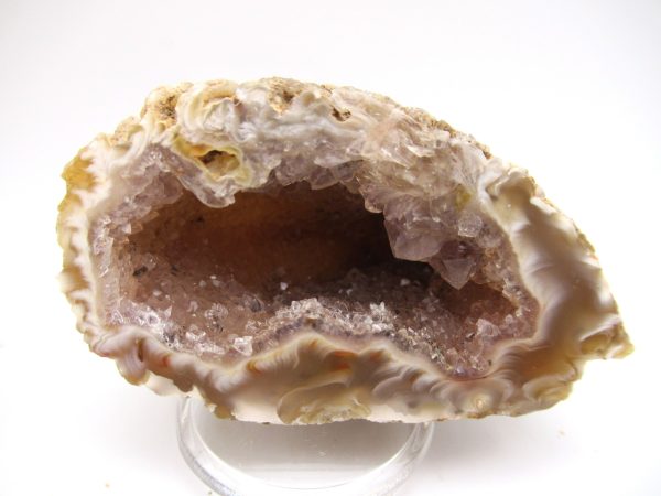 Genuine Jurassic Age Cut and Polizhed Geode For Sale from India #10c