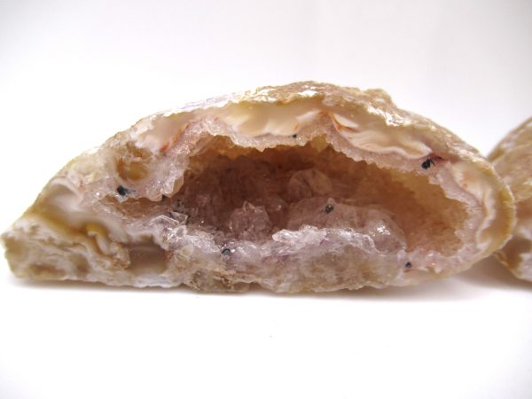 Genuine Jurassic Age Cut and Polizhed Geode For Sale from India #5b