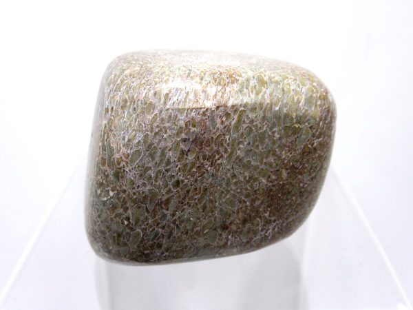 Genuine Jurassic to Cretaceous Age Polished Gem Dinosaur Bone for Sale #2