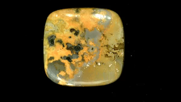 BumbleBee Jasper Cabochon #1 For Sale