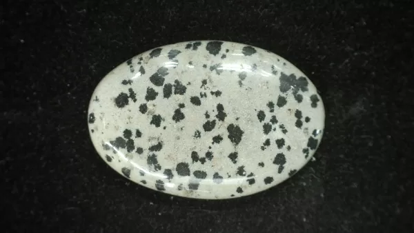 Dalmation Jasper Cabochon #2 For Sale