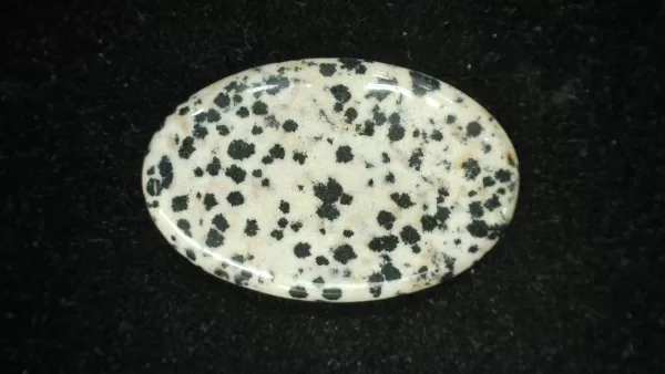 Dalmation Jasper Cabochon #3 For Sale