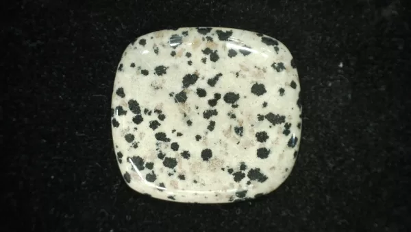 Dalmation Jasper Cabochon #5 For Sale