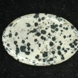 Dalmation Jasper Cabochon #6 For Sale