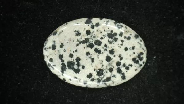 Dalmation Jasper Cabochon #6 For Sale