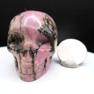 Polished Rhodonite Metaphysical Skull for Sale #4