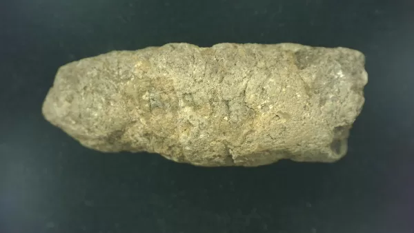 Genuine Permian Age Reptile Coprolite Fossil for Sale from Texas #1