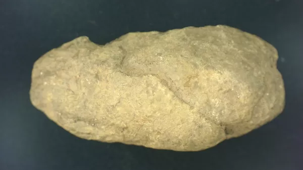 Genuine Permian Age Reptile Coprolite Fossil for Sale from Texas #3a