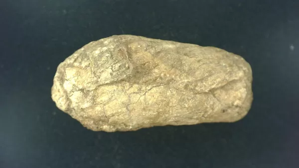 Genuine Permian Age Reptile Coprolite Fossil for Sale from Texas #7a