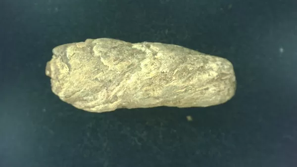 Genuine Permian Age Reptile Coprolite Fossil for Sale from Texas #8a