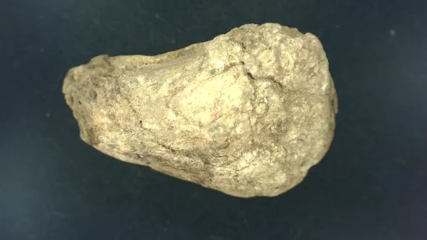 Genuine Permian Age Reptile Coprolite Fossil for Sale from Texas #9a