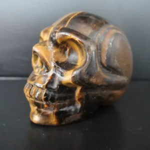 Polished Skull for Sale Tiger's Eye #1