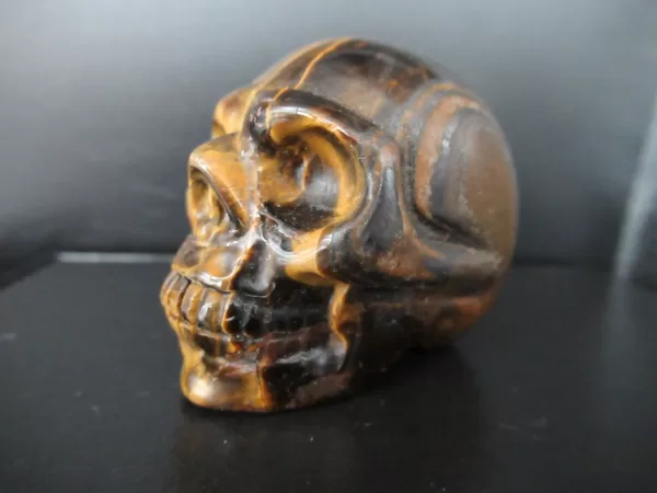 Polished Skull for Sale Tiger's Eye #1