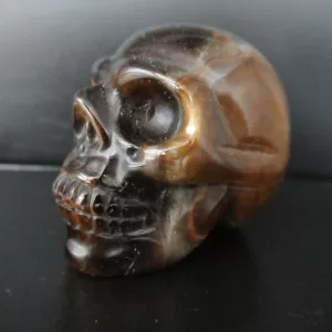 Polished Skull for Sale Tiger's Eye #2