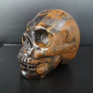 Polished Skull for Sale Tiger's Eye #3