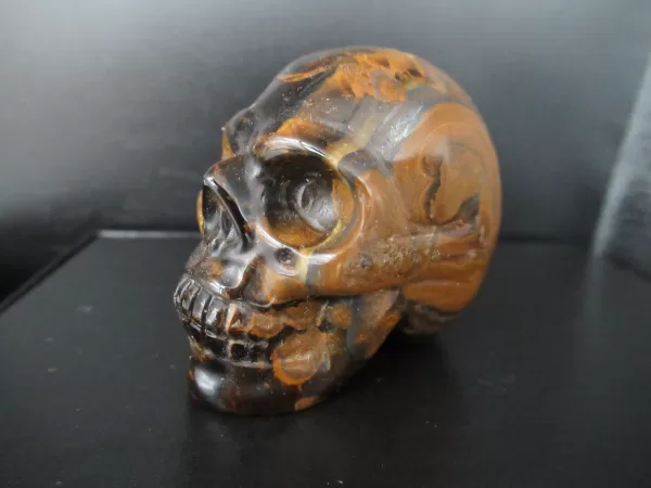 Polished Skull for Sale Tiger's Eye #3