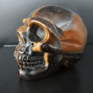 Polished Skull for Sale Tiger's Eye #4