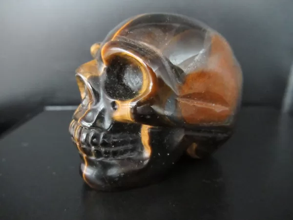 Polished Skull for Sale Tiger's Eye #4