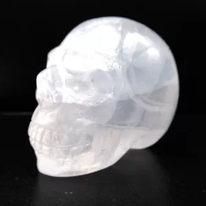 Polished Skull for Sale White Quartz #2