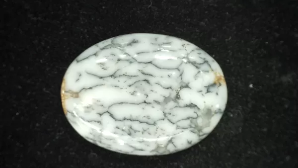 Genuine Dendritic Agate Cabochon #5 For Sale