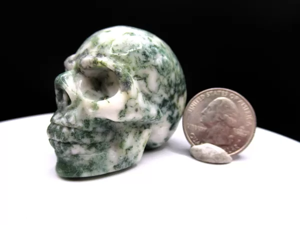 Polished Marine Agate Metaphysical Skull for Sale #2