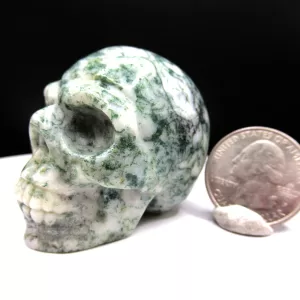 Polished Marine Agate Metaphysical Skull for Sale #3