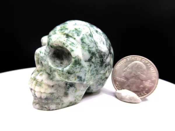 Polished Marine Agate Metaphysical Skull for Sale #3