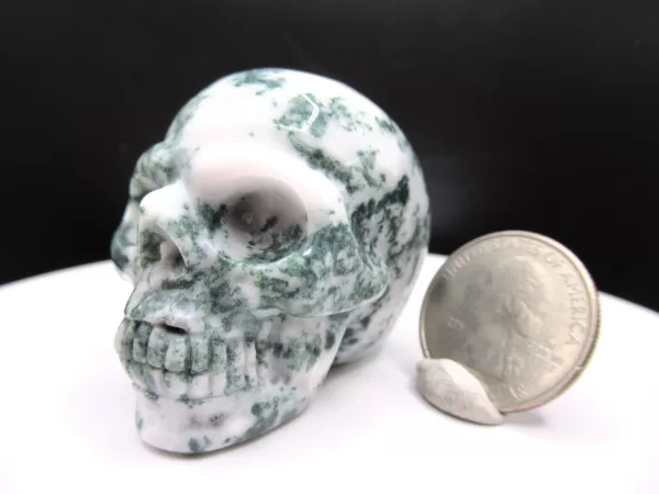 Polished Marine Agate Metaphysical Skull for Sale #4