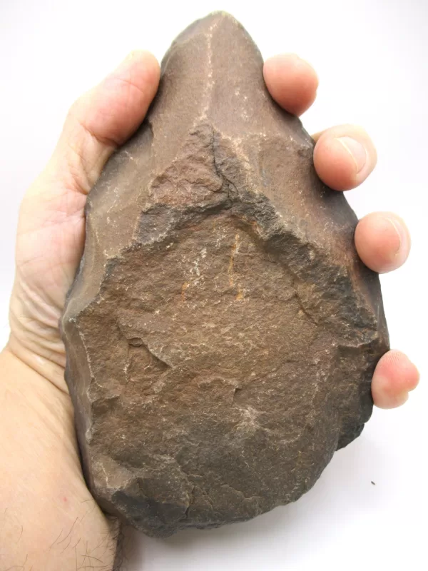 Genuine Paleolithic Hand Tool for Sale #4d