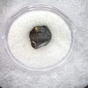 Genuine Confederate Shipwreck Artifact Coal for Sale #2a