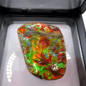 Genuine Cretaceous Age Gem Ammolite Ammonite Shell Specimen From Canada For Sale #1b