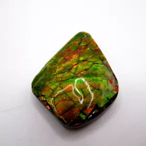 Genuine Cretaceous Age Gem Ammolite Ammonite Shell Specimen From Canada For Sale #4