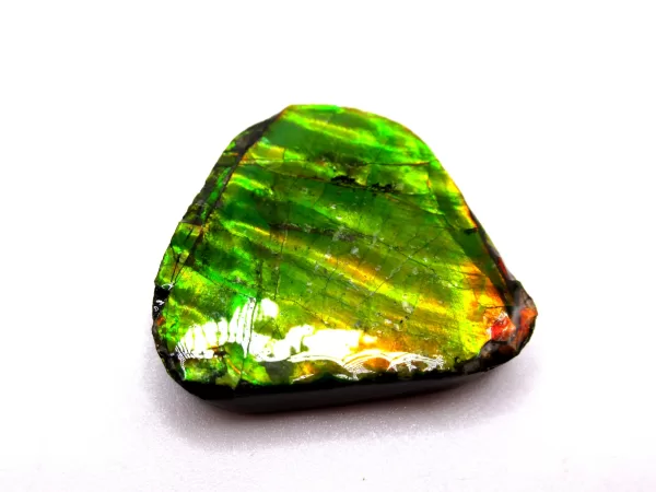 Genuine Cretaceous Age Gem Ammolite Ammonite Shell Specimen From Canada For Sale #8b