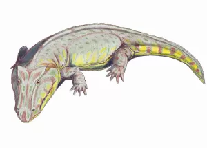 Permian Edops Amphibian