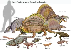 Texas Permian Reptile Coprolite