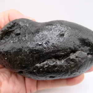 Genuine Miocene Age Megalodon Shark Coprolite Fossil for Sale from South Carolina #21