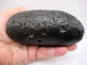 Genuine Miocene Age Megalodon Shark Coprolite Fossil for Sale from South Carolina #21b