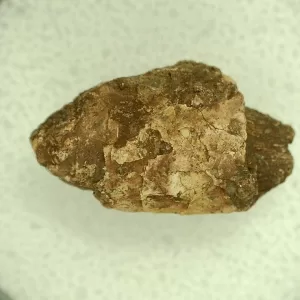 Genuine Permian Age Reptile Coprolite Fossil for Sale from Texas #20