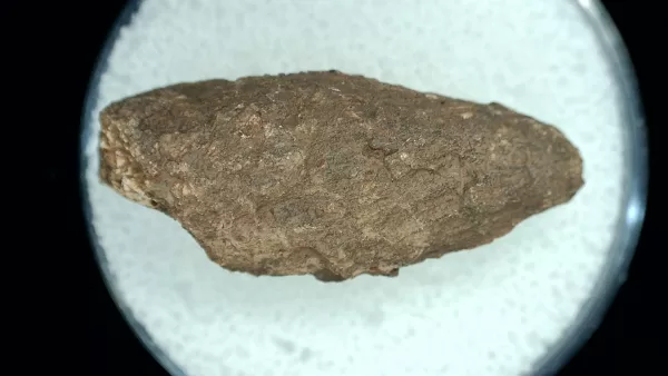 Genuine Permian Age Reptile Coprolite Fossil for Sale from Texas #26a