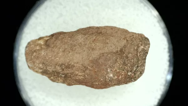 Genuine Permian Age Reptile Coprolite Fossil for Sale from Texas #42a